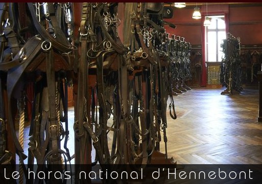 La belle joie sera au haras d'Hennebont pour les fêtes du patrimoine le 21 septembre 2014